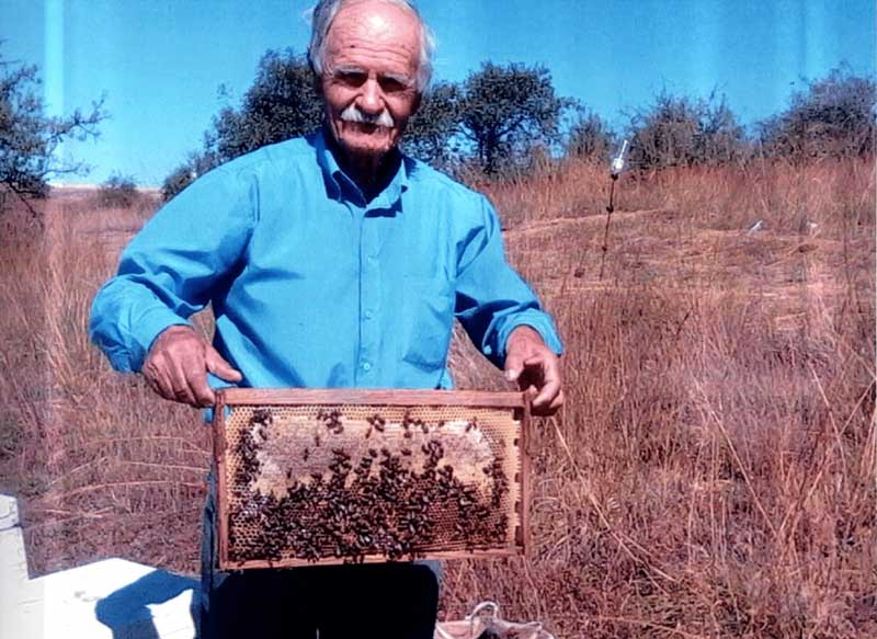 Επιστολή από έναν παλιό μελισσοκόμο από τον Κρόκο: Δεν μας βοήθησε ούτε το Υπουργείο ούτε ο περιφερειάρχης