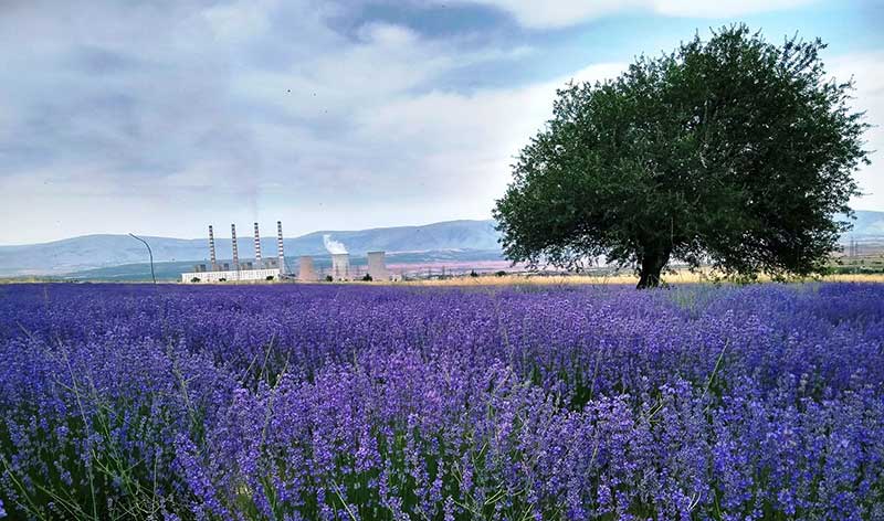 Από τη Δίκαιη στη Βίαιη Μετάβαση, στη μετά Λιγνίτη Εποχή – Του Κωνσταντίνου Περτσινίδη 