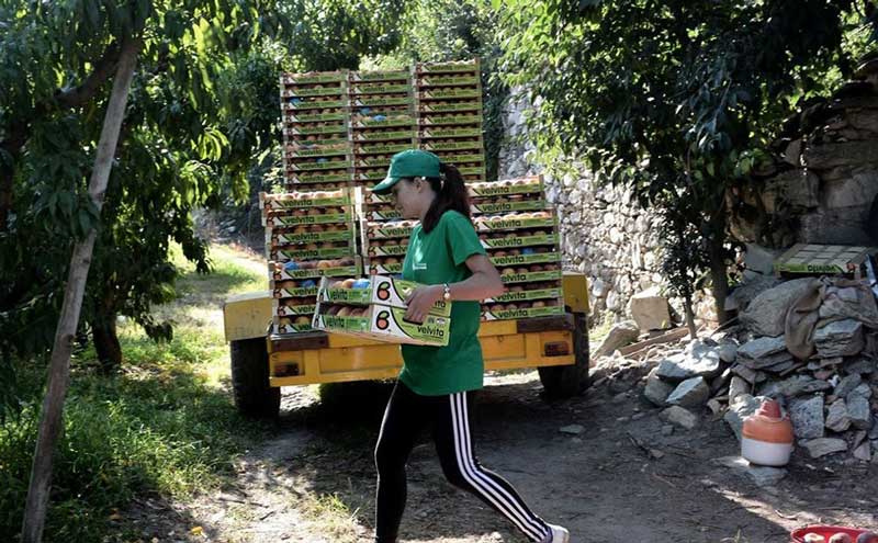 Ο  ΑΣΕΠΟΠ Βελβεντού σημείο αναφοράς της AGRI EU Food & Farming της ΕΕ με αφορμή την Παγκόσμια Ημέρα Συνεταιρισμών