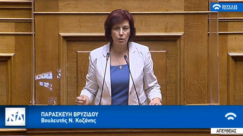Παρασκευή Βρυζίδου: Ομιλία στην ολομέλεια της Βουλής για το σν για την Ενίσχυση της Ψηφιακής Διακυβέρνησης