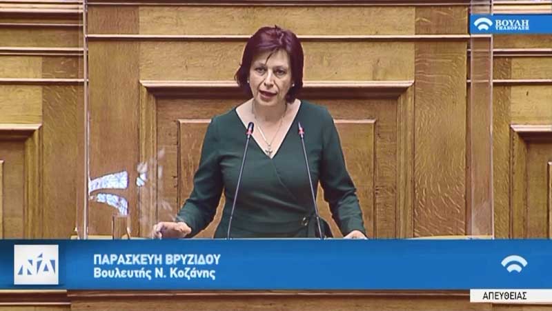 Ομιλία Παρασκευής Βρυζίδου στην Ολομέλεια της Βουλής με θέμα: «Πλαίσιο χορήγησης μικροχρηματοδοτήσεων, ρυθμίσεις χρηματοπιστωτικού τομέα και άλλες διατάξεις»