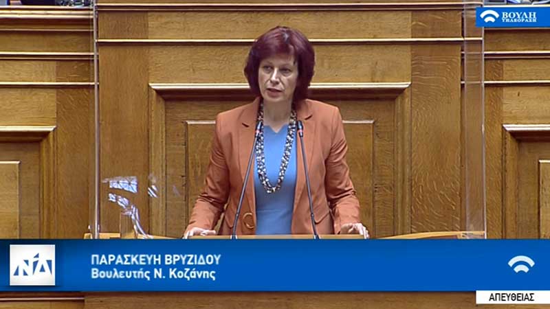 Π. Βρυζίδου: Επιστολή προς το Υπουργείο Οικονομικών για το επίδομα θέρμανσης  και το πρόβλημα που προέκυψε στην ΠΕ Κοζάνης