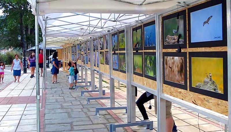 5η έκθεση φωτογραφίας “Άγριας Φύσης” στην Καστοριά