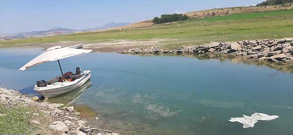 Εμπορεύσιμα και καταναλώσιμα τα πρικιά της λίμνης Πολυφύτου;-Την Παρασκευή η απόφαση για πιθανή άρση της απαγόρευσης αλιείας