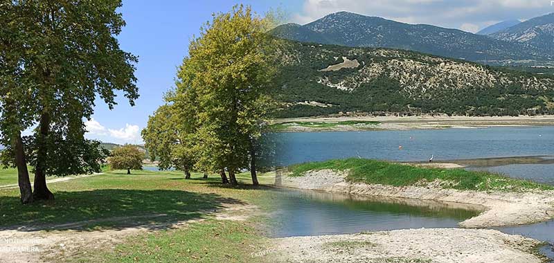Πλατανόδασος Ρυμνίου – Αύγουστος (Δείτε φωτογραφίες)