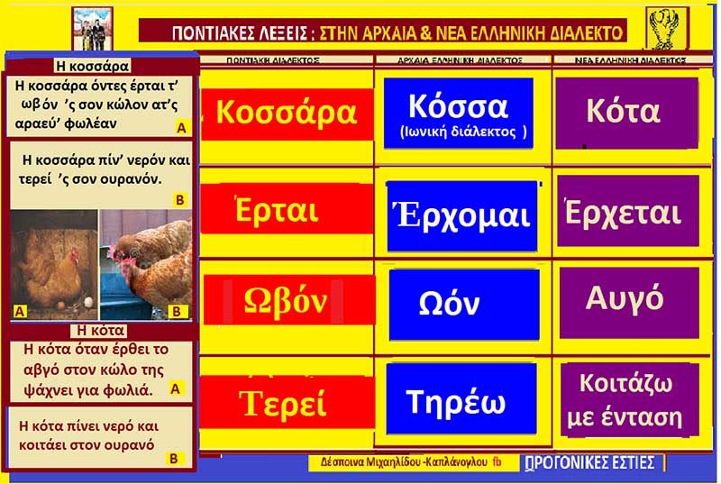 Ερμηνεία Ποντιακών λέξεων αρχαιοελληνικής προέλευση: Κοσσάρα, Ωβό, Αραεύ, Τερεί