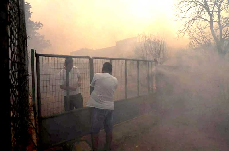 Πνιγμένη στους καπνούς η Ανάβυσσος από την μεγάλη φωτιά – Μάχη με τον χρόνο δίνει η πυροσβεστική