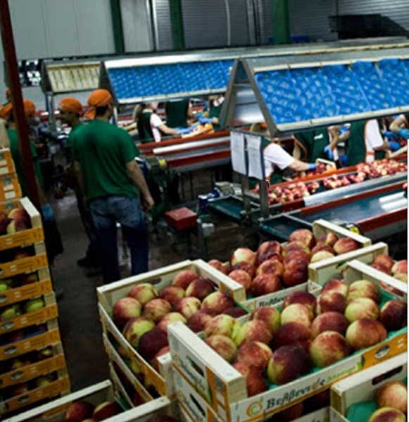 300.000,00 € για τον εκσυγχρονισμό των Εγκαταστάσεων του ΑΣΟ Βελβεντού «Η ΔΗΜΗΤΡΑ»