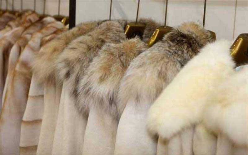 Αποτελέσματα δημοπρασίας Μαρτίου 2021 της Saga Furs