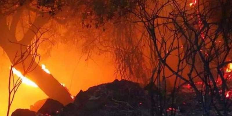Κόλαση φωτιάς στη Μόρια, στις φλόγες το ΚΥΤ: Στον δρόμο 12.000 μετανάστες -Έκτακτη σύσκεψη στο Μαξίμου