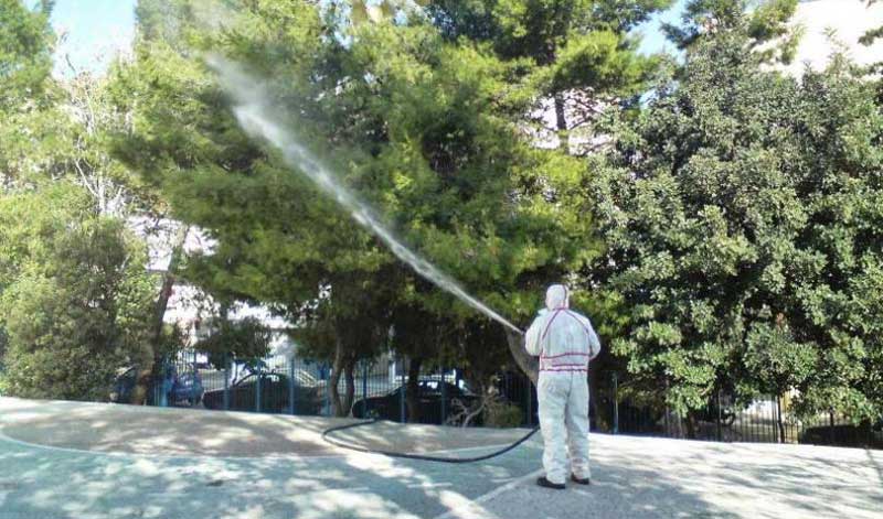Εργασίες φυτοπροστασίας σε δένδρα στην πόλη της Κοζάνης