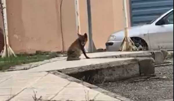 Μια διαφορετική επίσκεψη στο νοσοκομείο Γρεβενών