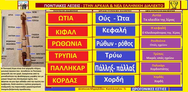 Ποντιακές λέξεις με αρχαιοελληνική προέλευση (video)-Τα ωτία ,κιφάλ,ρωθώνια ,τρυπία,παλλικάρ ,κόρδας-Γράφει η Δέσποινα Μιχαηλίδου -Καπλάνογλου