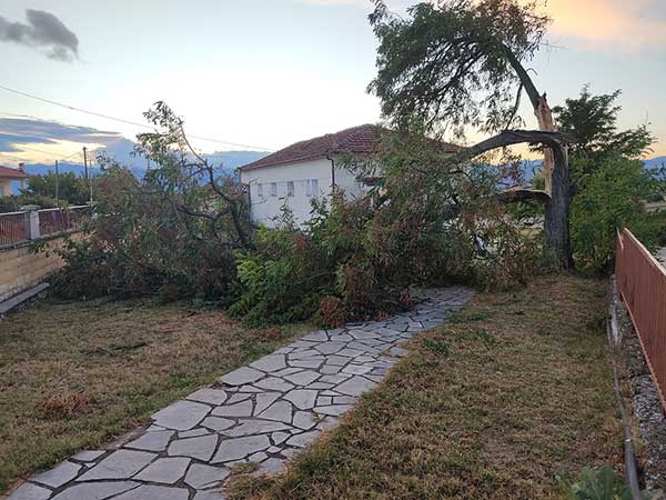 Πτώση κλαδιών και δέντρων στην Κερασιά