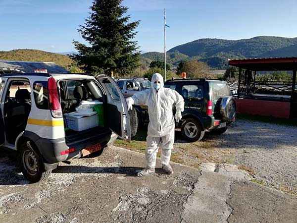 Κινητοποίηση του μηχανισμού αντιμετώπισης κρουσμάτων αφρικανικής πανώλης προκάλεσε νεκρός αγριόχοιρος στην Αυγή Κοζάνης