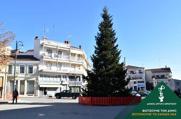 Φυσικό έλατο ύψους 15 μέτρων θα στολιστεί φέτος στην κεντρική πλατεία του Άργους Ορεστικού