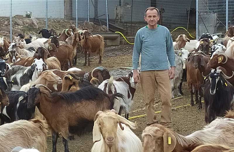 Μαθήματα επιχειρείν με 1200 γίδια στην Κοζάνη και στόχο ετικέτα σε τυρί και γιαούρτι