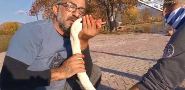 Καστοριά: «Τα μάτια ενός ζώου μιλούν μια σπουδαία γλώσσα» (video)