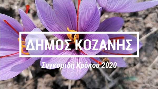 Δήμος Κοζάνης: Το βίντεο αφιέρωμα στον Κρόκο Κοζάνης -Το χρυσάφι της ελληνικής γης μετατρέπεται σε καθημερινή ευεργετική συνήθεια