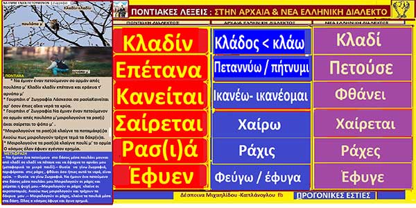 Ποντιακές λέξεις με αρχαιοελληνική προέλευση (video)
