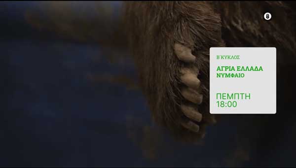 Σήμερα στις 18.00 στην ΕΡΤ3 θα προβληθεί το επεισόδιο της εκπομπής “Άγρια Ελλάδα” με προορισμό το Νυμφαίο και τον Αρκτούρο