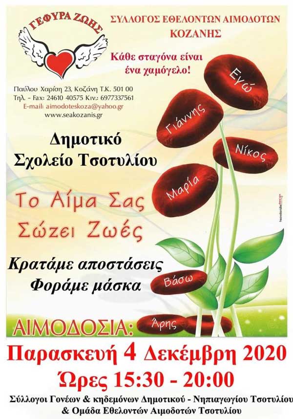 Η 37η Αιμοδοσία στο Τσοτύλι