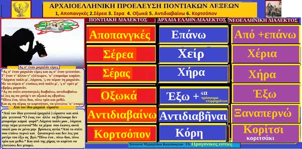 Λέξεις και φράσεις της ποντιακής διαλέκτου με ρίζες από την αρχαιοελληνική διάλεκτο