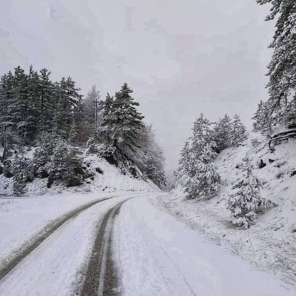 Η φωτογραφία της ημέρας: Όμορφο χιονισμένο τοπίο στη Βωβούσα