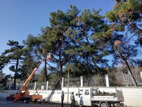 Δήμος Κοζάνης:Συνεχίζονται οι εργασίες συντήρησης πρασίνου στο πλαίσιο της κλαδευτικής περιόδου