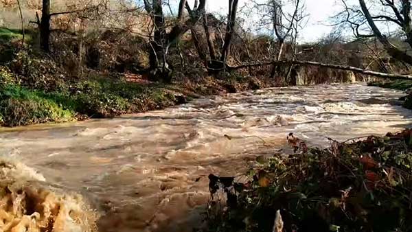 Φωτογραφίες της αγριεμένης Ποταμιάς στην Ελάτη