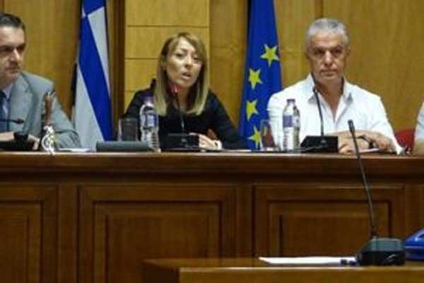 Όχι στην άναρχη ανάπτυξη των Α.Π.Ε. στη Δυτική Μακεδονία από το Περιφερειακό Συμβούλιο
