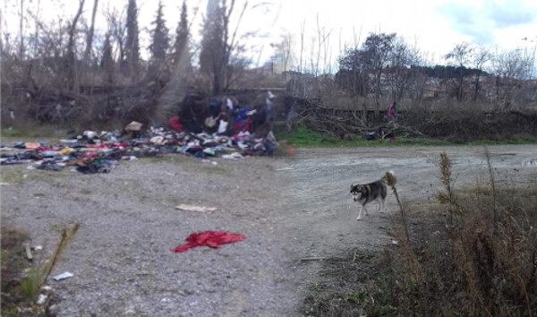 Παιδιά καθαρίζουν περιοχές -γειτονιές της Κοζάνης