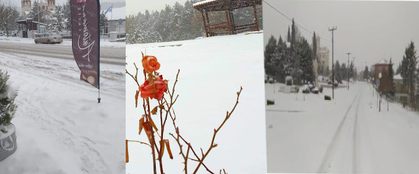 Φωτογραφίες από το Μαυροδέντρι, το Πρωτοχώρι, το Δρέπανο στα χιόνια
