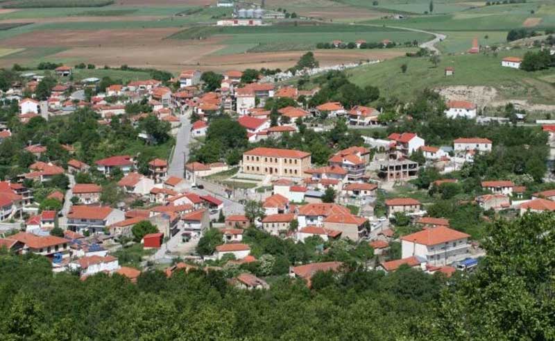 Λύκος κατασπάραξε σκύλο στη Κοινότητα Βεύης