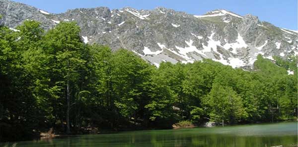 Εννέα Περιβαλλοντικές Οργανώσεις για την ανάπτυξη Αιολικών Σταθμών με ελάχιστο περιβαλλοντικό κόστος