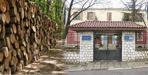 Η απάντηση του Πρωινού Λόγου στις Δασικές Υπηρεσίες της Αποκεντρωμένης Διοίκησης Ηπείρου-Δυτικής Μακεδονίας