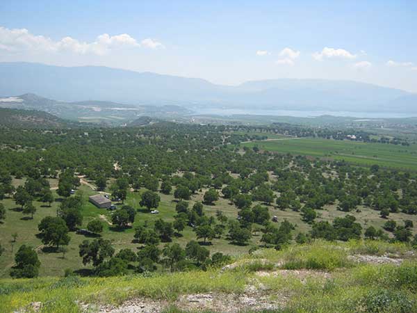 Δάσος μακεδονικής δρυός η επίμαχη έκταση στην θέση Μάνα Νερού – Ο μοναδικός πνεύμονας πρασίνου σε έκταση 70.000 στρεμμάτων 