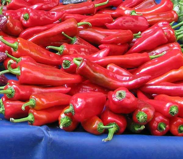ΕΒΕ Φλώρινας: “Πιστοποίηση της κόκκινης πιπεριάς Φλωρίνης ως ιδιότυπο προϊόν”