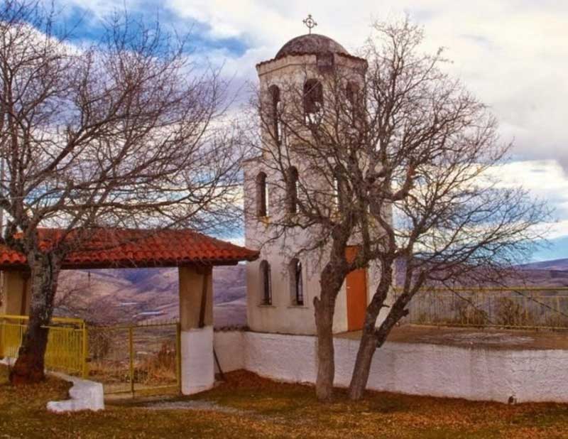 Γαλατινή: Παράνομη υλοτόμηση στην περιοχή της Ανάληψης