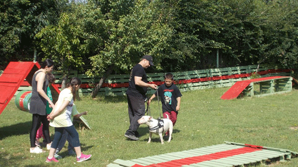 Animal Assisted Therapy: Ένα πρωτότυπο πρόγραμμα θεραπείας με σκύλους στην Κοζάνη