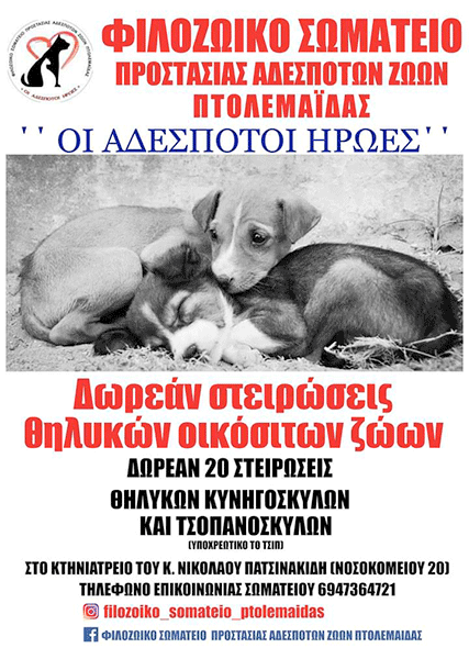 Φιλοζωικό Σωματείο Προστασίας Αδέσποτων Ζώων Πτολεμαϊδας “Οι Αδέσποτοι Ήρωες”: 20 δωρεάν στειρώσεις για οικόσιτα ζώα 
