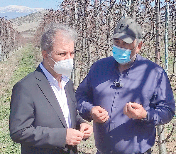 Ο Γιώργος Αμανατίδης στον οπωρώνα του Μεσόβουνου