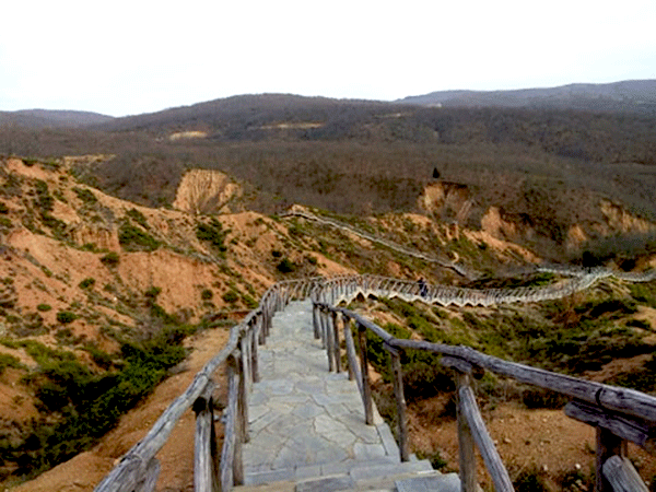 Μπουχάρια, Μικρόβαλτο Κοζάνης(Φωτογραφίες)