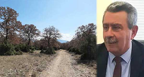 Γιατί κ. Μιχελάκη δεν ανακαλείτε την απόφαση δασολογίου για να σωθεί το δάσος τη Μεσιανής;