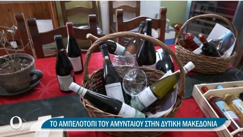 Στο Αμύνταιο ο μεγαλύτερος αμπελώνας ξινόμαυρου παγκοσμίως
