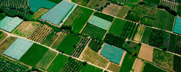 1.150.000 ευρώ για τα παράλληλα έργα αναδασμού αγροκτήματος Αγίου Αντωνίου από την Π.Ε. Καστοριάς