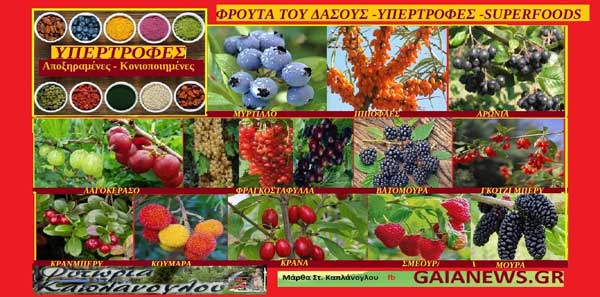 Υπερτροφές- superfoods (από φρούτα του δάσους)