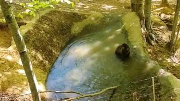 Πρωινά παιχνίδια στο νερό για την Μάσα (video)