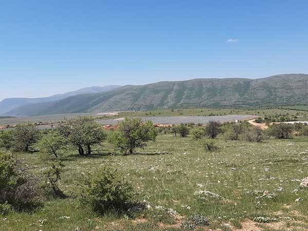 Εγκρίθηκαν οι περιβαλλοντικοί όροι για δυο ακόμα τεράστια πάρκα της Maximus Terra στα Σιδερά