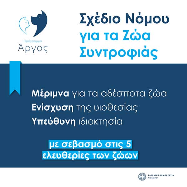 Κανένα ζώο αδέσποτο – Κανένα ζώο κακοποιημένο: Το νέο νομοσχέδιο για τα ζώα συντροφιάς σε δημόσια διαβούλευση